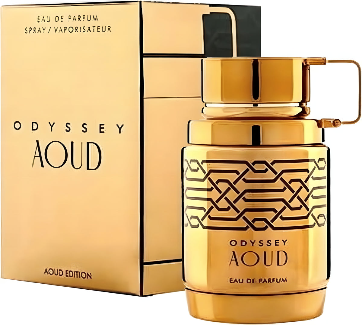 Odyssey Aoud by Armaf EDP 100ml Caballero